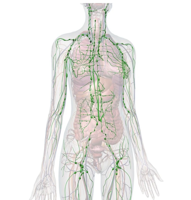 Lymphatic Massage