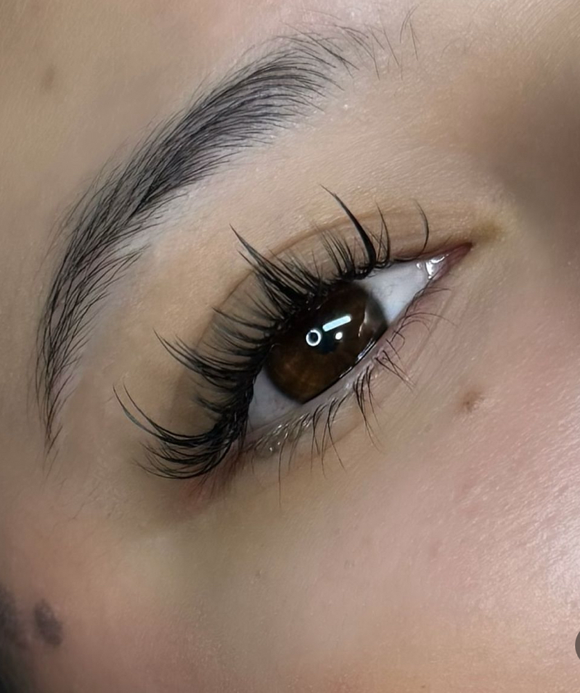 ANIME LASH FULL SET