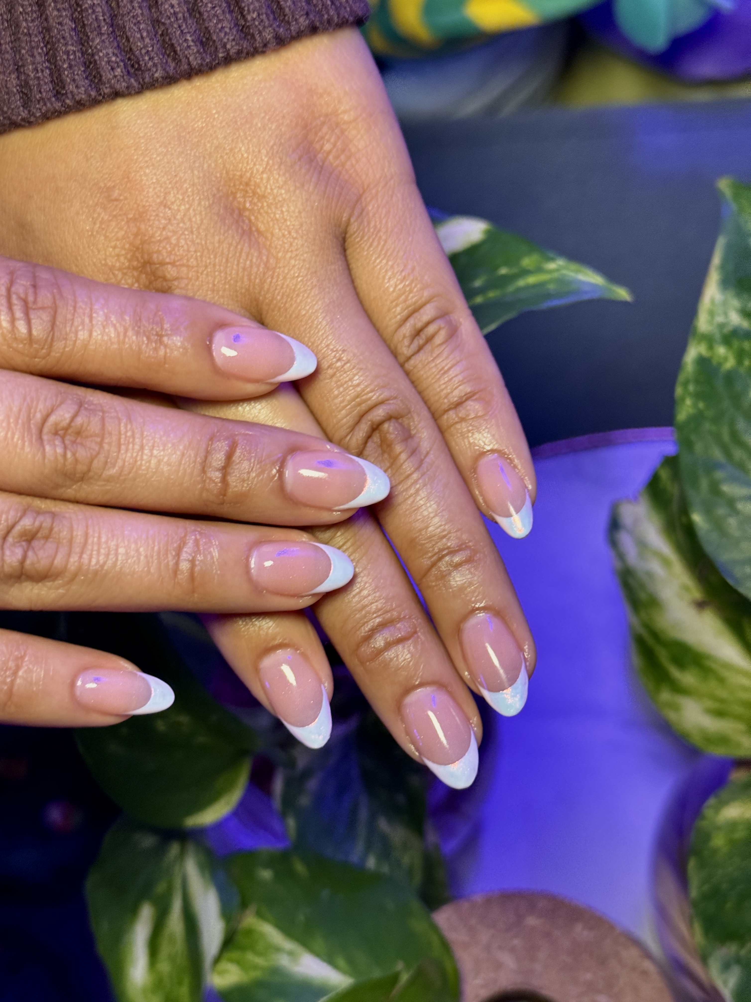 French Tip Full Set