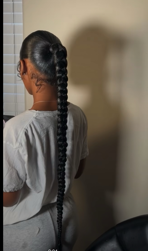 Sleek Ponytail/ Braid π