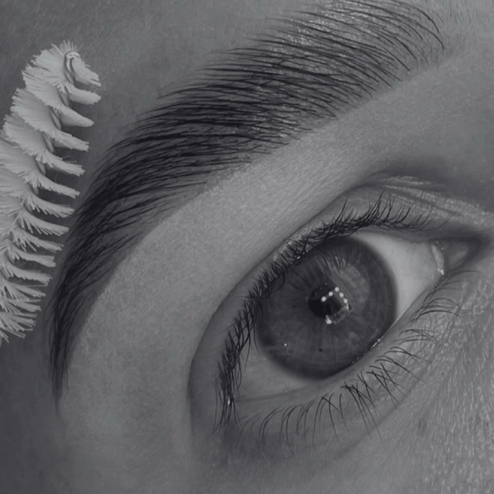Brow Wax & Color at The Lash Sanctuary in East Brunswick, NJ