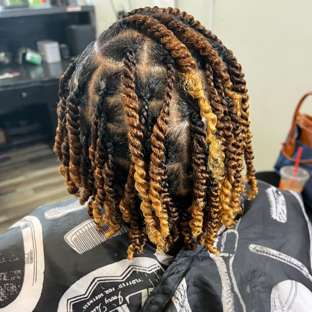 ELITE TWO-STRAND TWIST at Queen-of-Locs,LLC in Wickliffe, OH