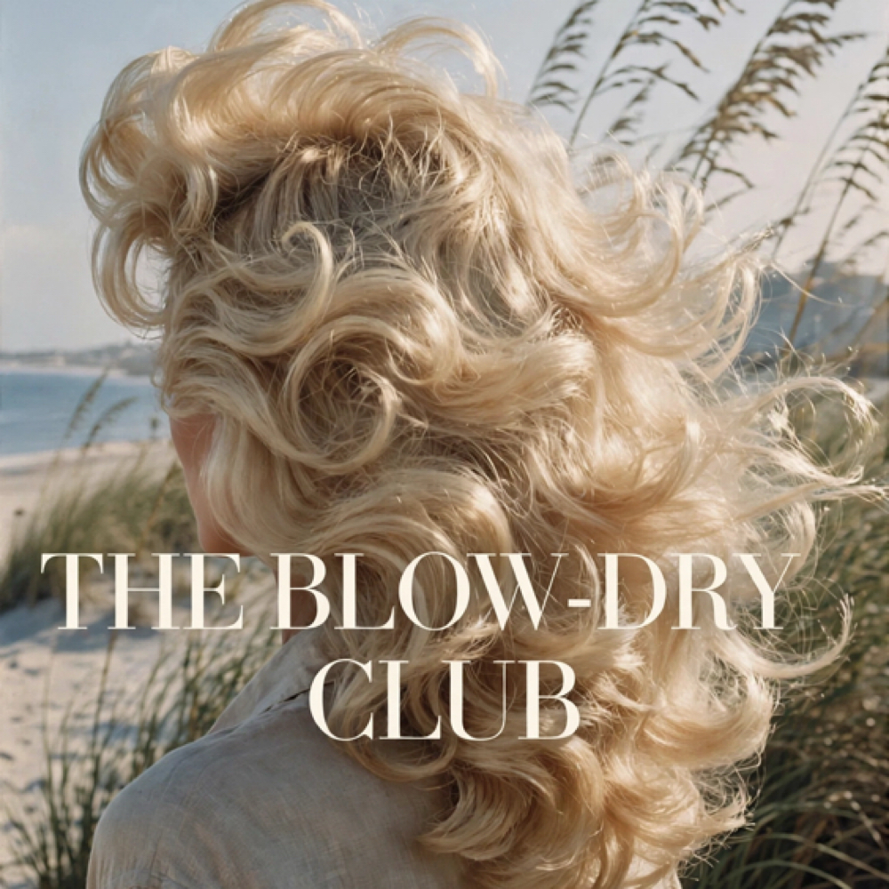 3-Pack Blow-dry at Willow & Bark Hair Studio in west palm beach, FL