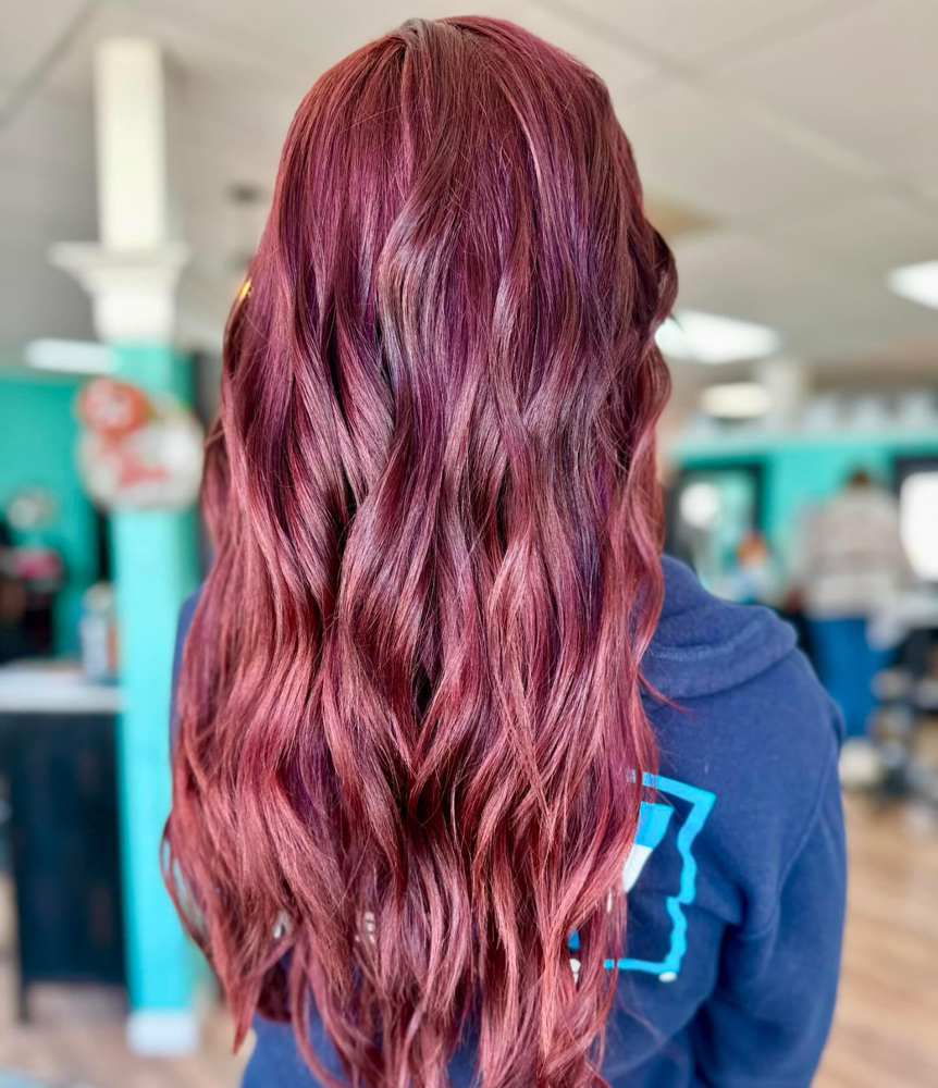All Over Color And Haircut at Emilie’s Shear Style in Allen Park, MI