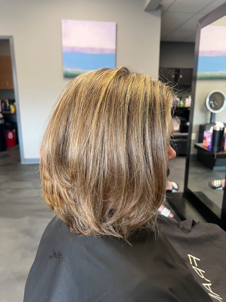 Partial Highlight, Toner, Haircut