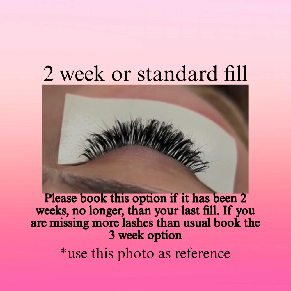 2 Week Eyelash Extensions ReFill at Speak Now Lashes in Kingman, AZ