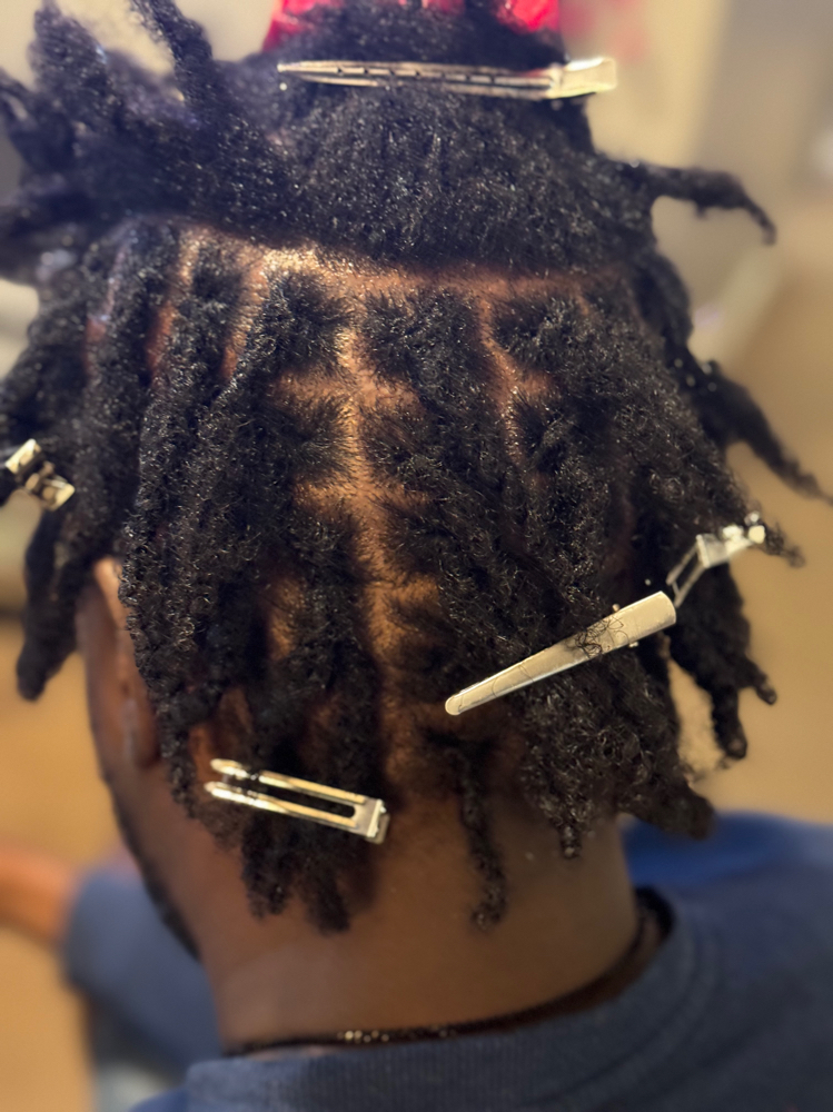 Starter Dreads