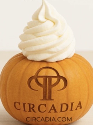 The Marshmallow Pumpkin Facial