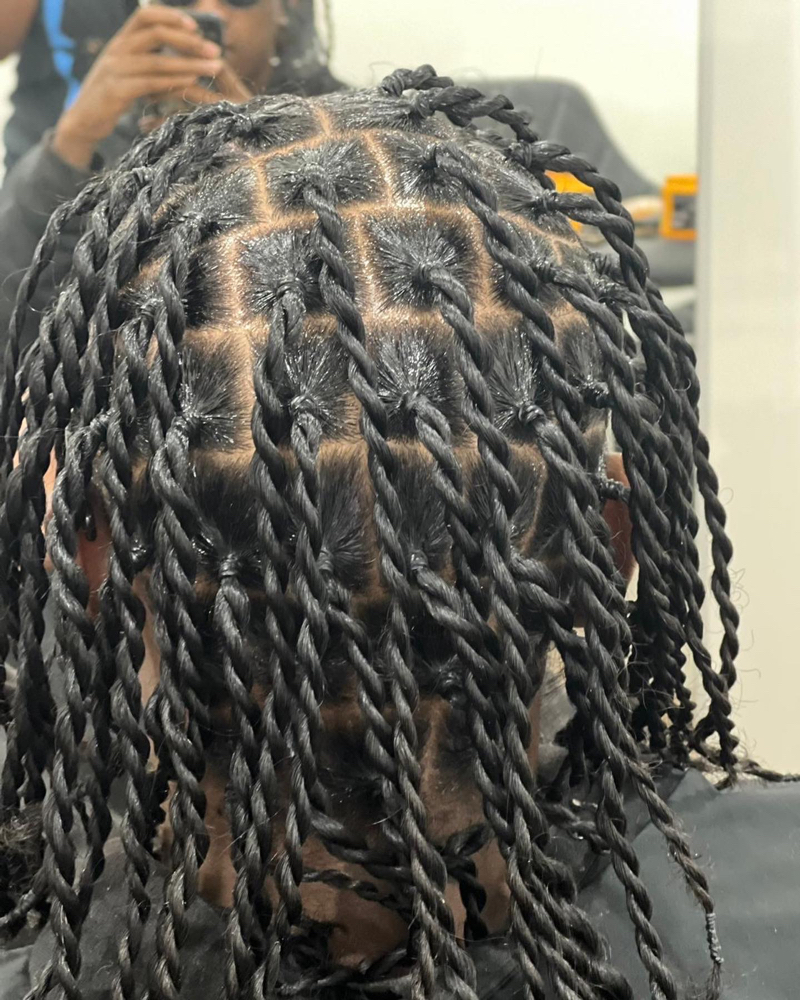 Rubber Bands Two Strand Twist at Michou  HairBraiding in Anaheim, CA