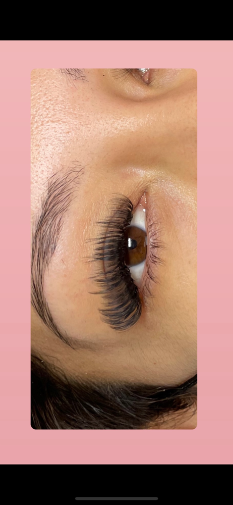 Wispy Hybrid at Beautyxalysssa in San Antonio, TX