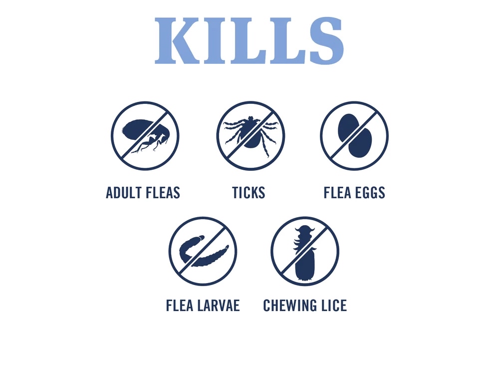 Add On~ Flea Treatment