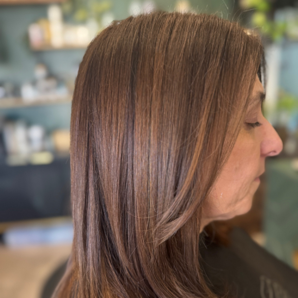 Roots And Partial Highlight at Greenhaus Hair Studio in Campbell, CA