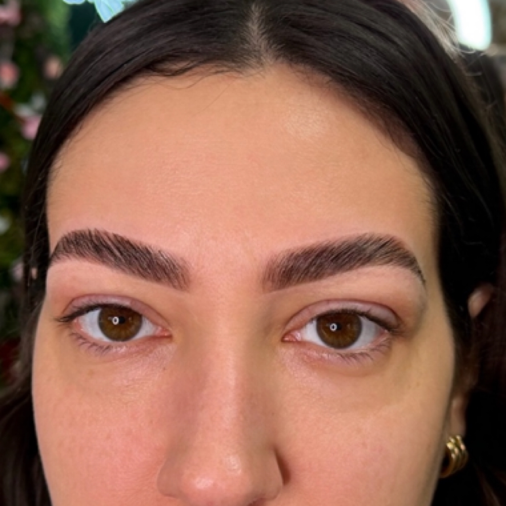 Brow Lamination ( INCL-G Sh & Tint) at Brows By Darya Vagner in Brooklyn, NY