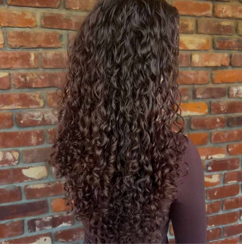 Curly Haircut with Wash And Set at Wild Waves Studio in Oak Ridge, TN