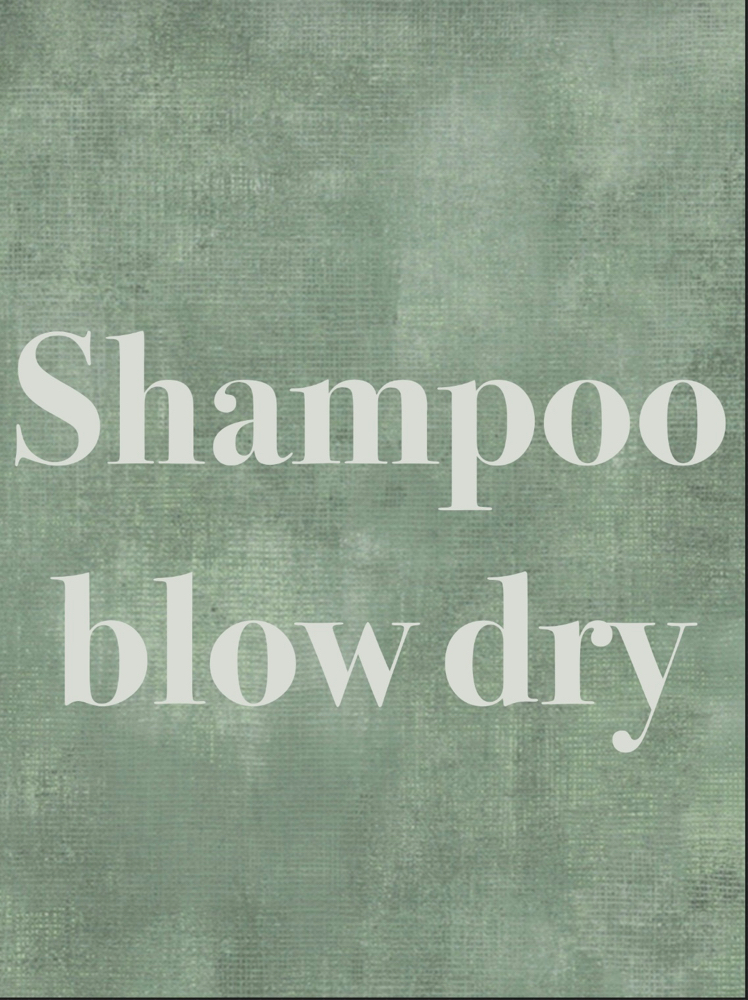 Shampoo+blowdry