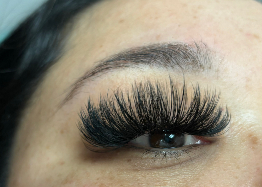 Volume Eyelash Extension