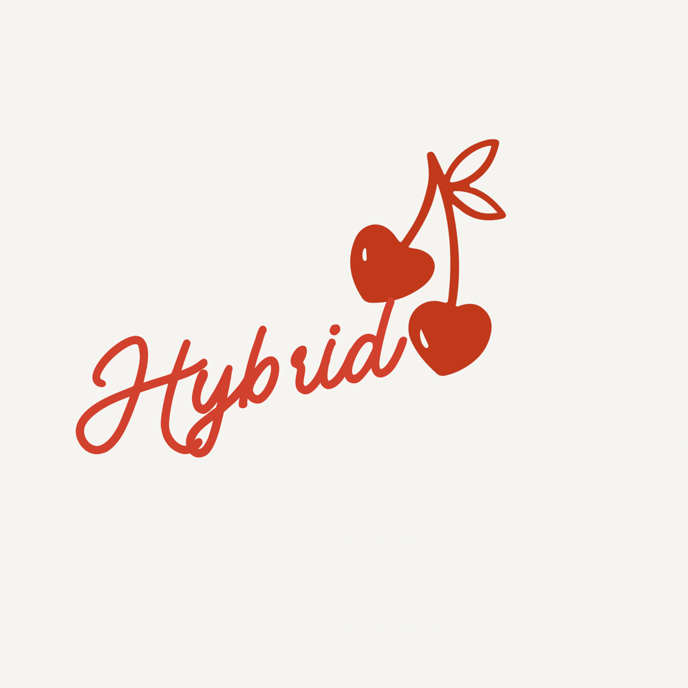 Hybrid Full Set at DreamXLab_ in Kingsport, TN