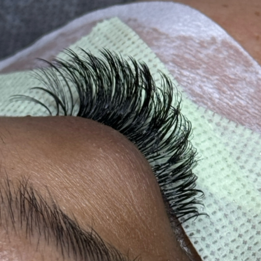 Hybrid - Full Set at Winged Winks Lash Co. in Largo, FL