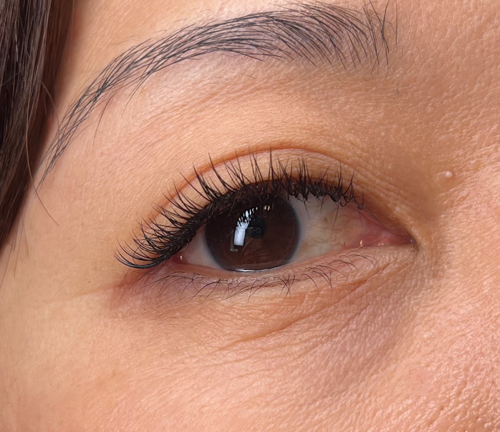 Classic Fill (2+ Weeks) at The Lash Room LV in Las Vegas, NV