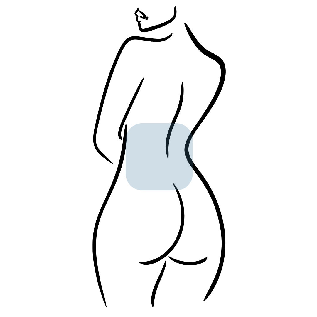 Student Lower Back