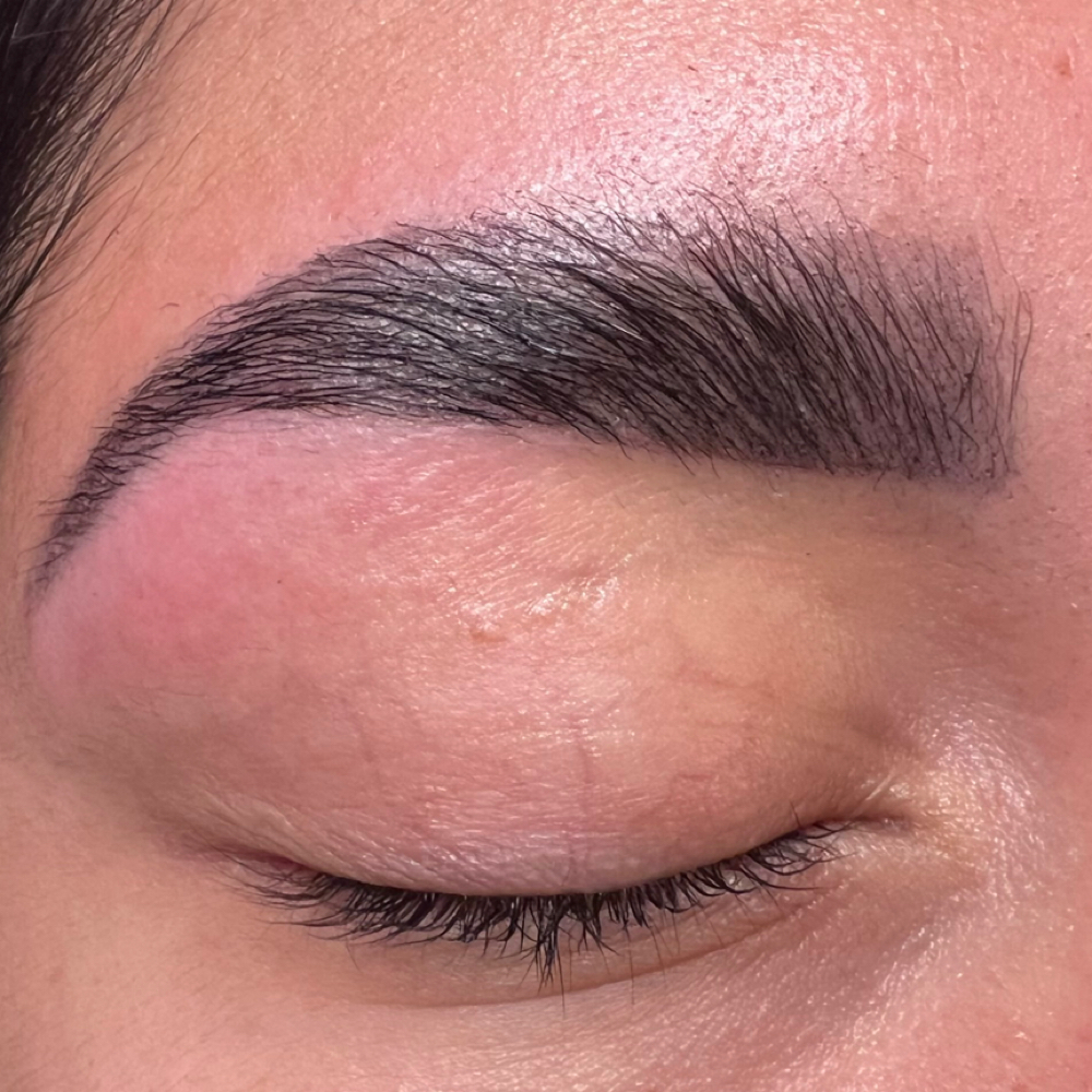 Eyebrow Wax at XO Lashes in Glendale, CO