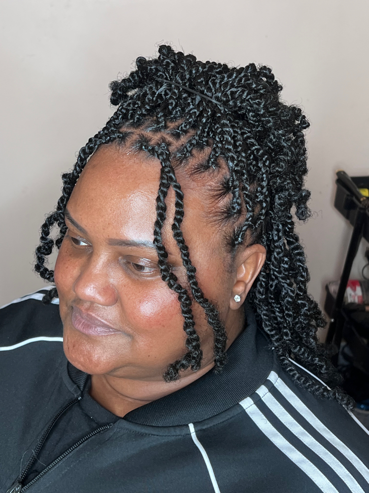 Mini Twists With Synthetic Hair