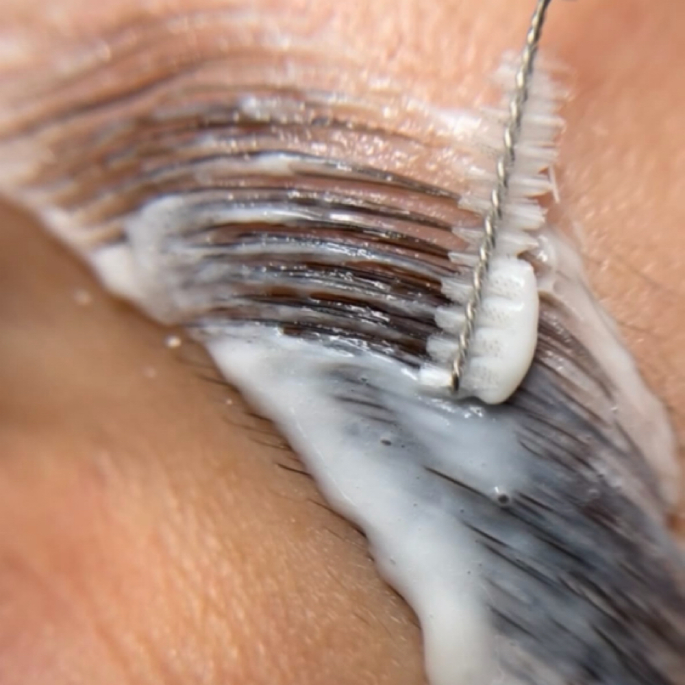 Eyebrows lamination alone at HABIBIESTHETICS in Rocklin, CA