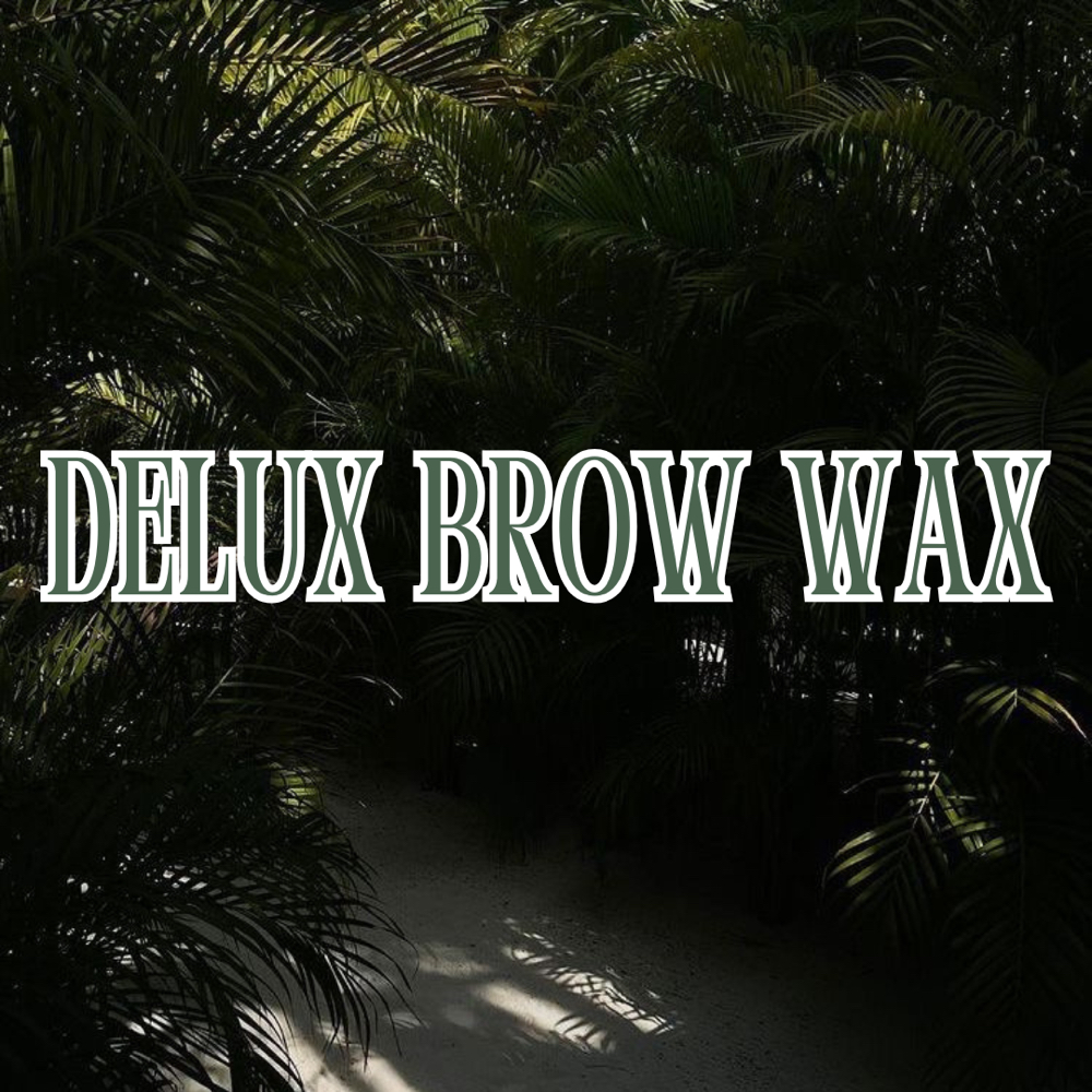 DELUX BROW WAX at SkinxHim Aesthetics in Athens, TX