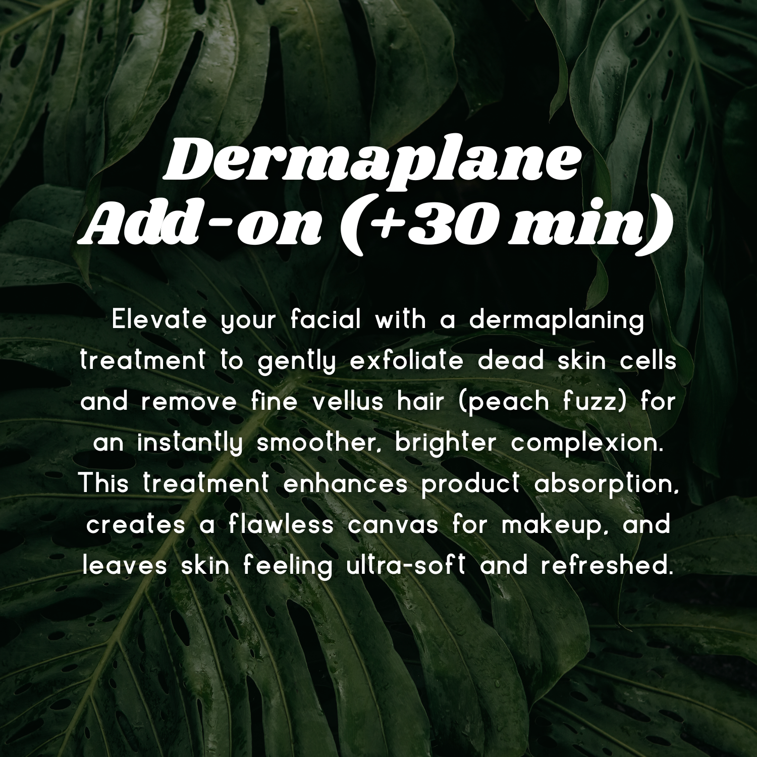 Dermaplane Add-On