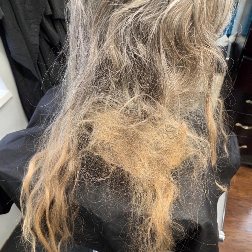 Dematting at Hola Hermosa in Lyons, IN