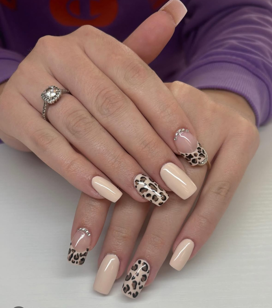 Full Set Medium Acrylics