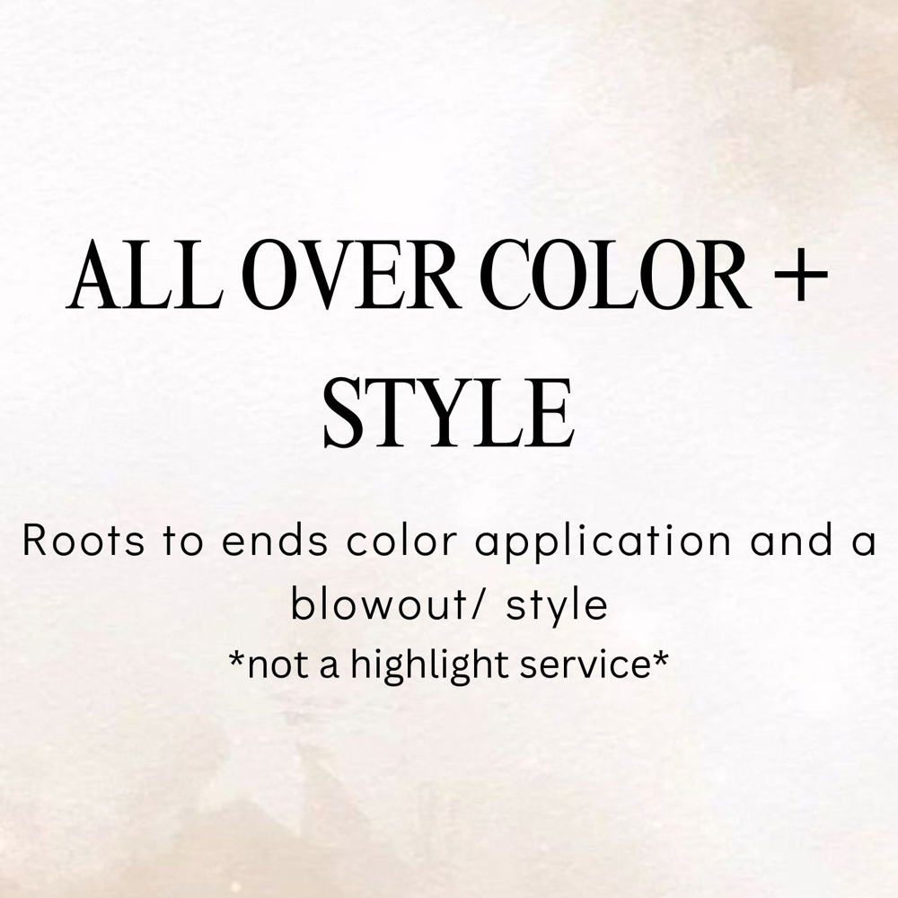 All Over Color + Blowout/ Style at The Amanda B Hair in Ellicott City, MD