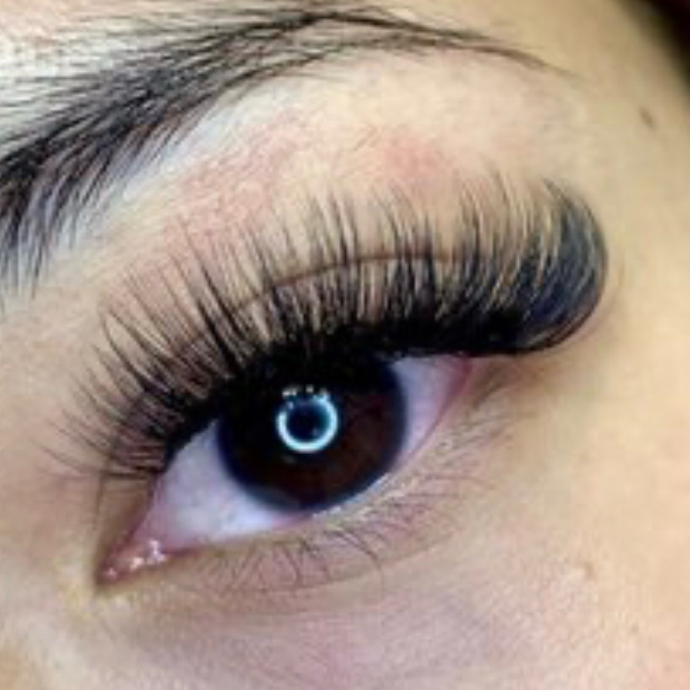 Non Member 6d Glam Volume Full Set at Wink Lash Studio in memphis, TN
