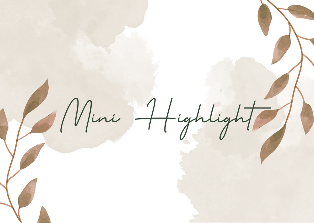 Mini Highlight at Urban Barbie Salon in Nacogdoches, TX