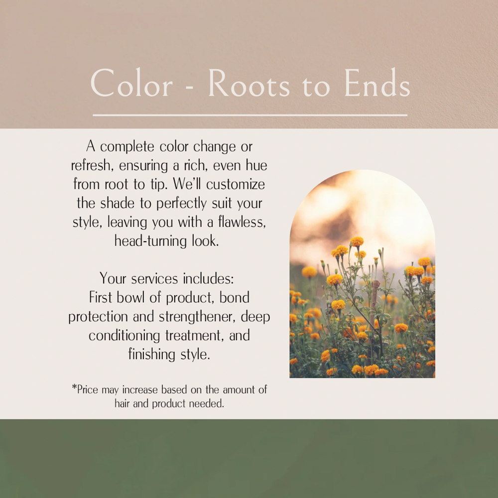 Color - Roots To Ends at Northern Roots Hair in Concord, NH