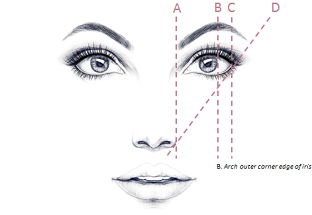 Brow Shaping/Waxing