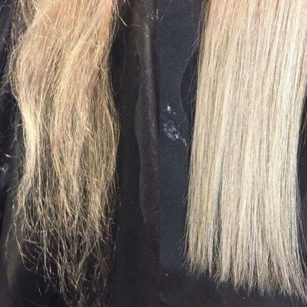 Split End Mend at DARKBAR Salon in Knoxville, TN