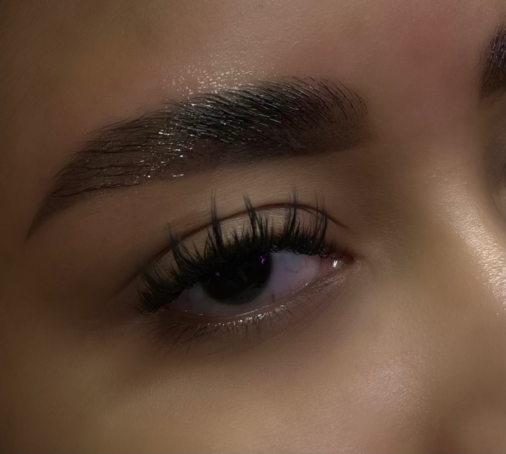 Light Volume Fill In