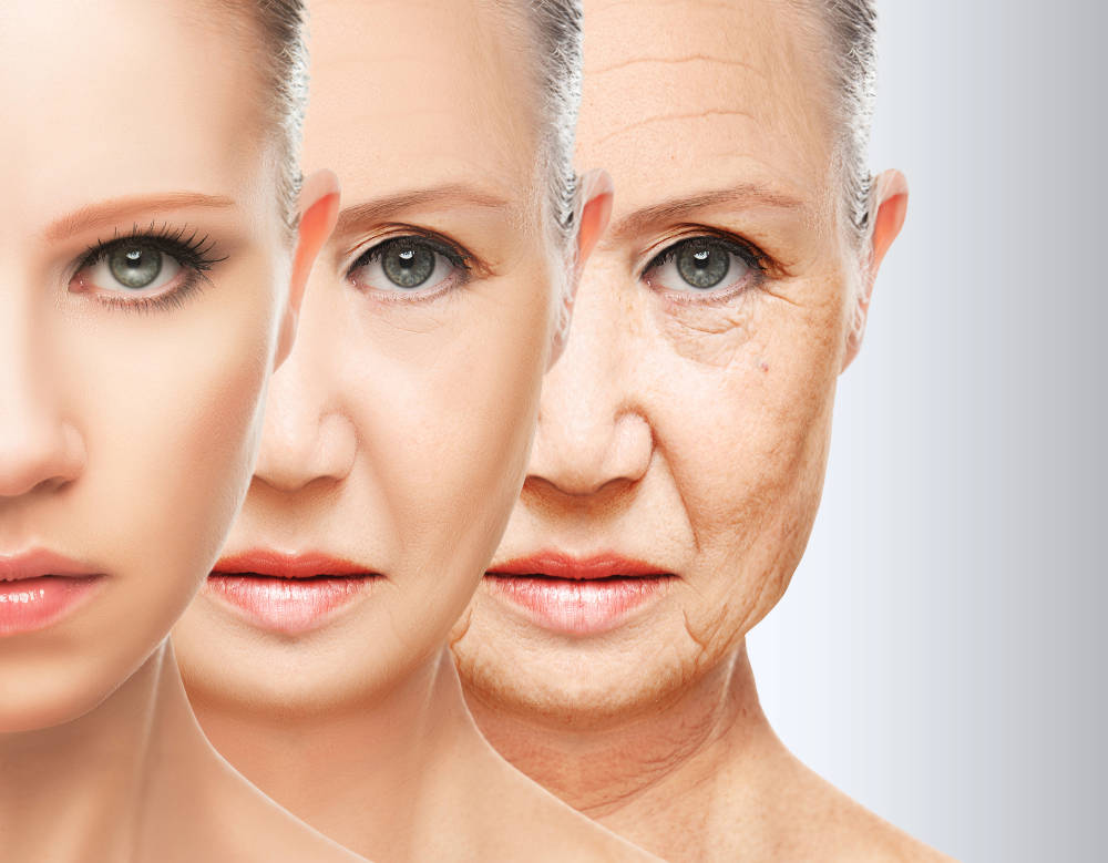 ADN DE SALMON /PDRN SALMON +FACIAL