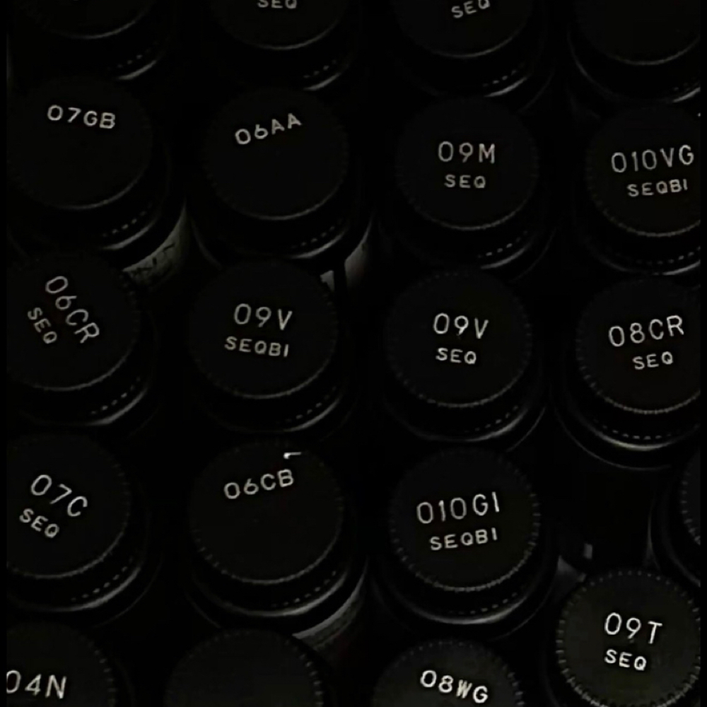 Consultation at Manes By Makaley in Carrollton, GA