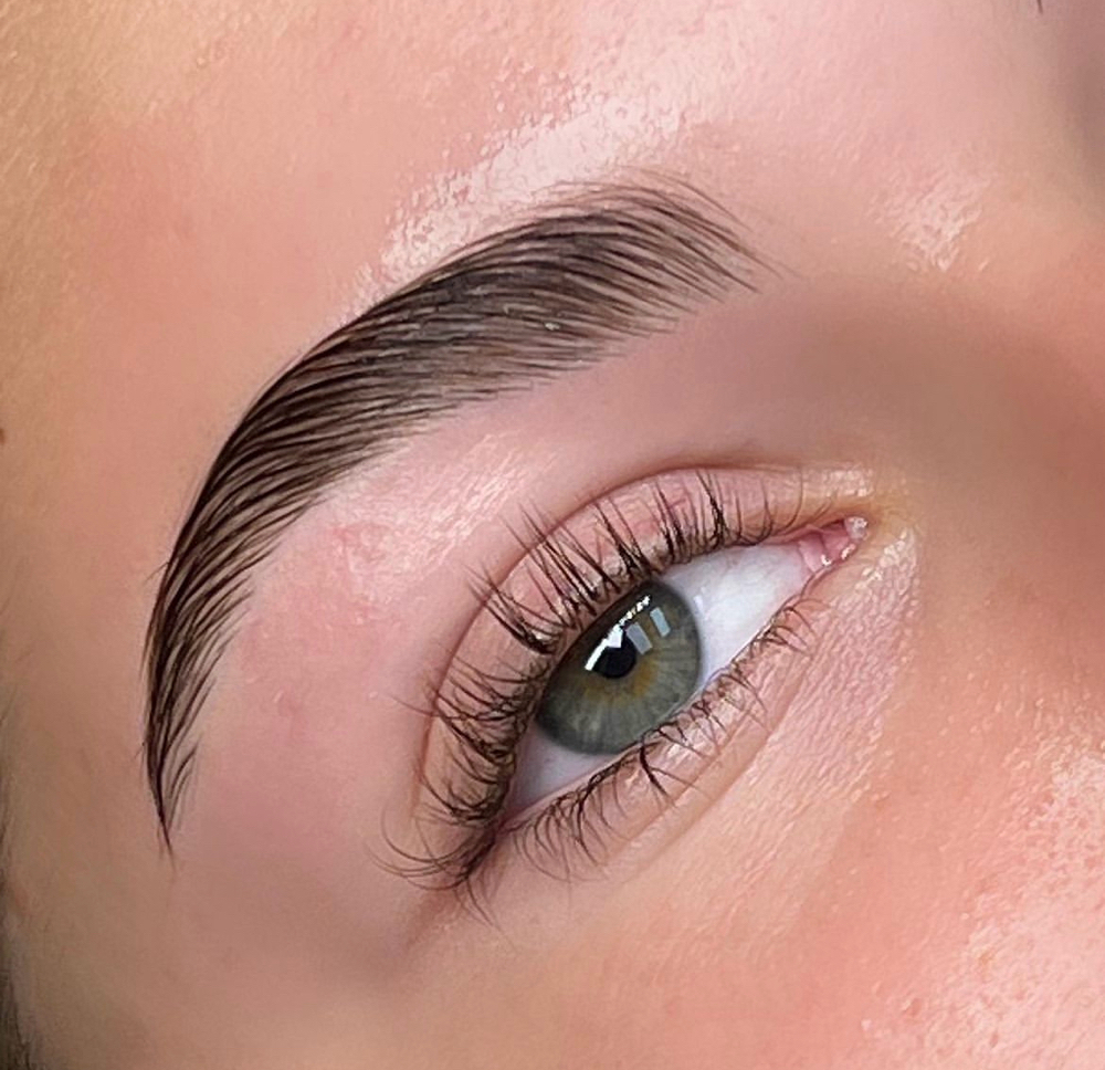 Brow Lamination with Wax (no tint)