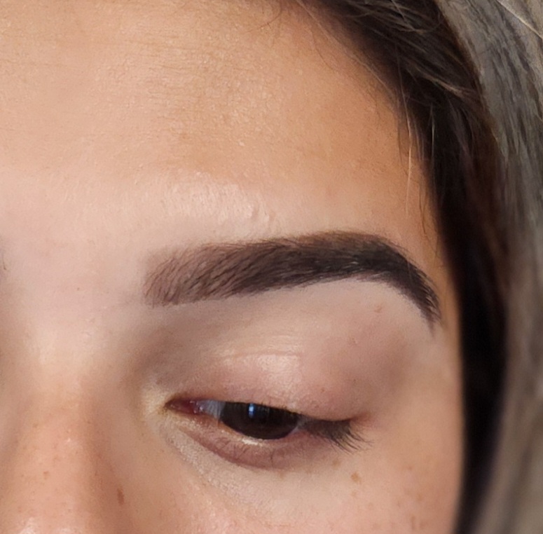 Brow Tint (No Wax)