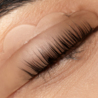 Lash Lift + Tint at Sacred Order Beauty in Key Largo, FL