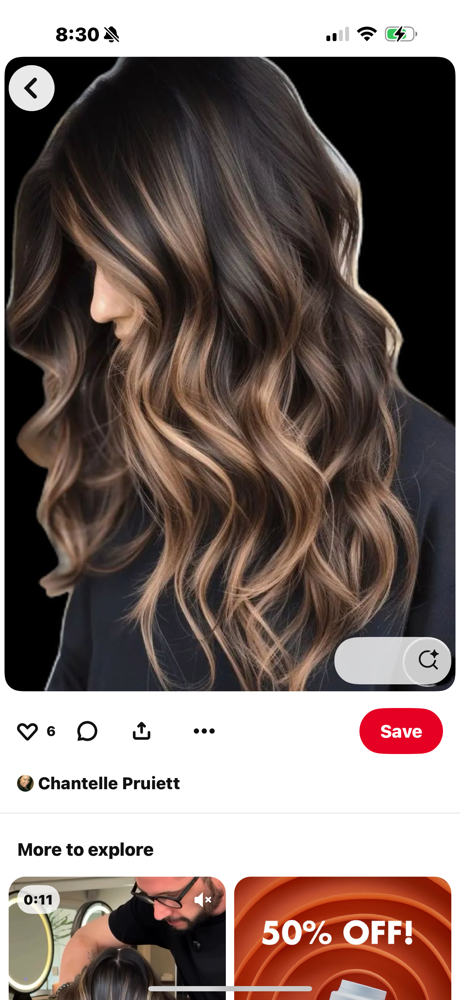 Color Consultation at The Faded Mane-Maria in Chester, VA