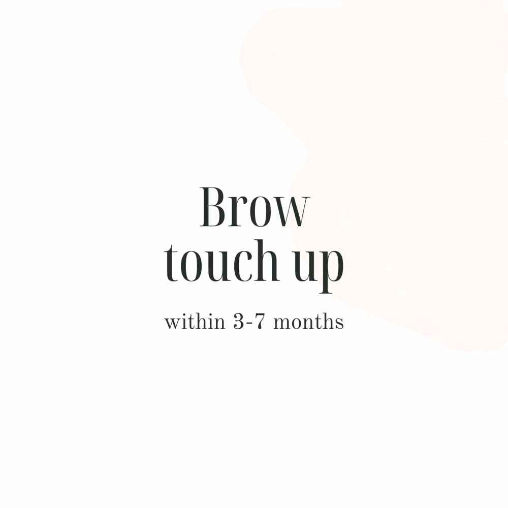 Brow Touch-Up (3-7 months)