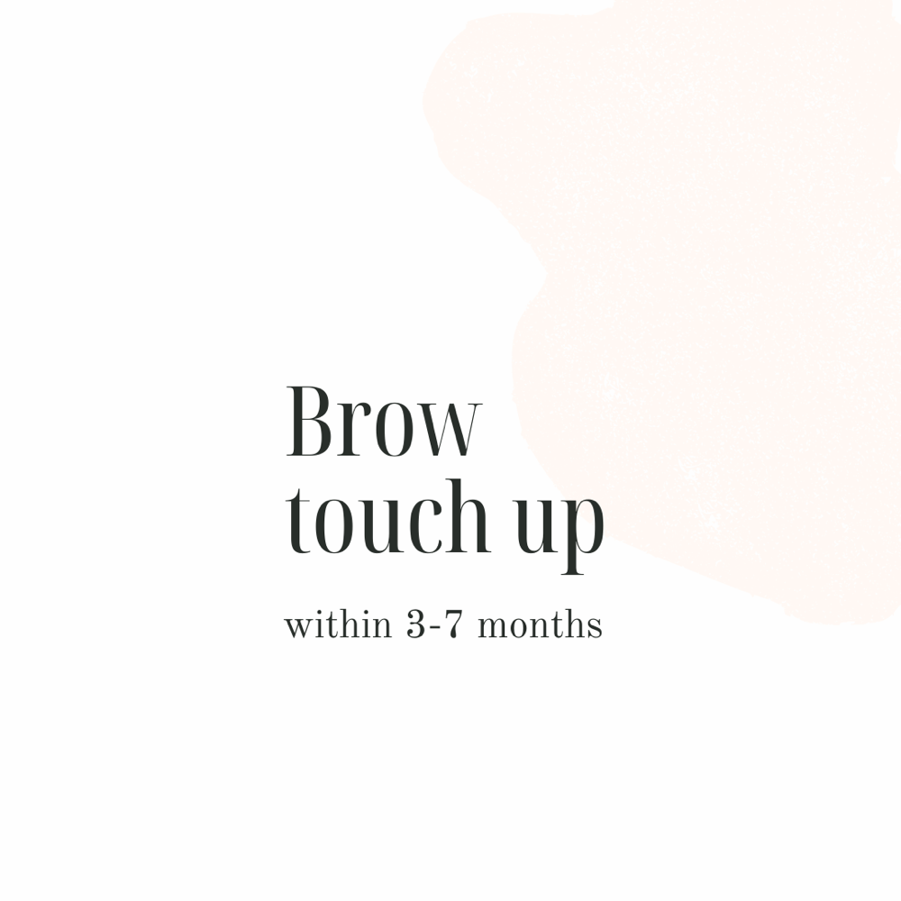 Brow Touch-Up (3-7 months)