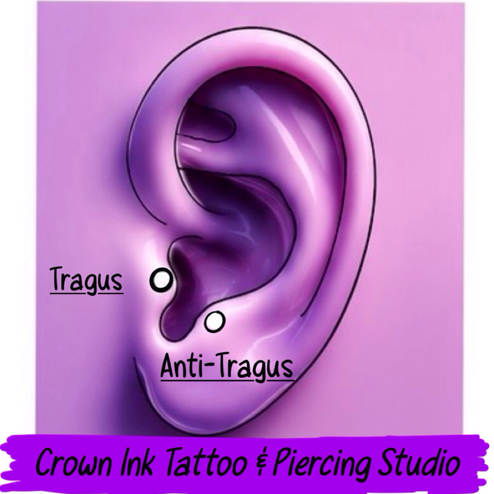 Tragus at The crown ink studio in Corpus Christi, TX