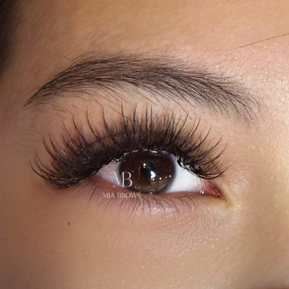 Eyelash Wispy Volume Set at Mia Brows in Catonsville, MD