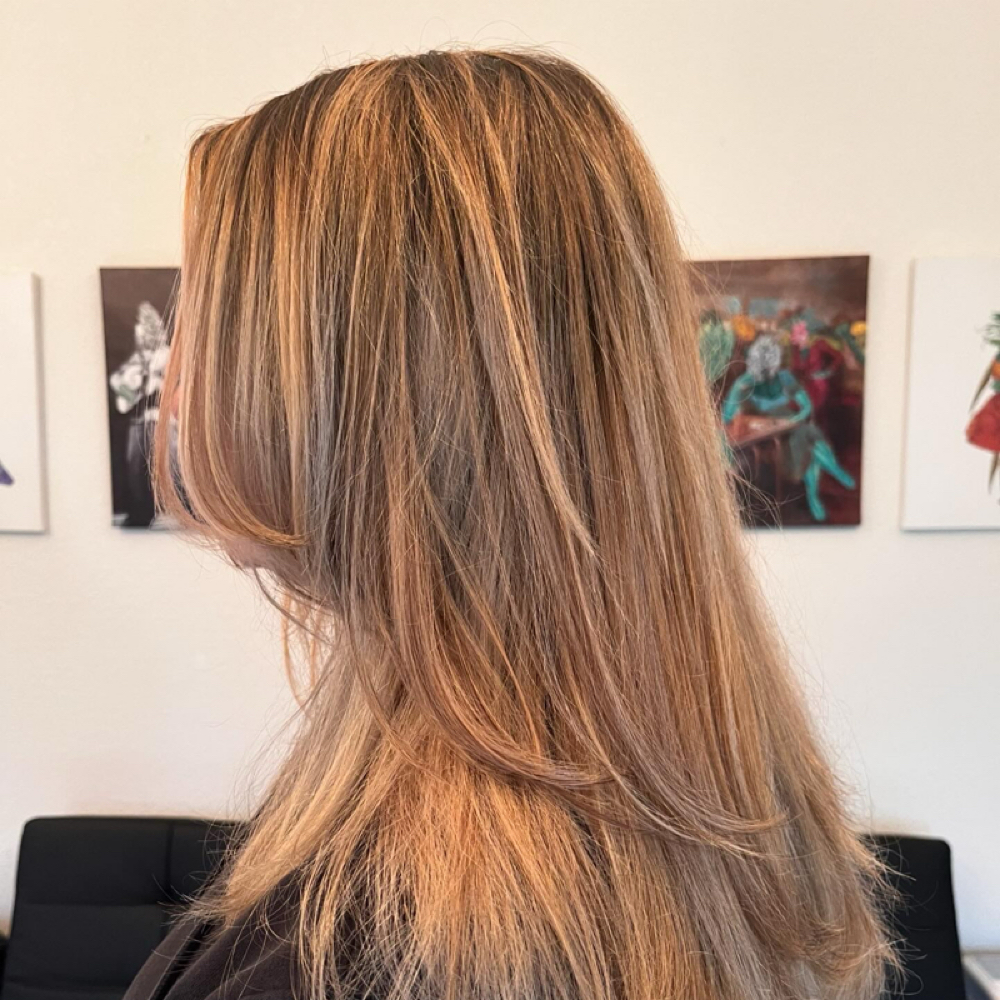 half highlights and haircut at Salon Roya in Portland, OR