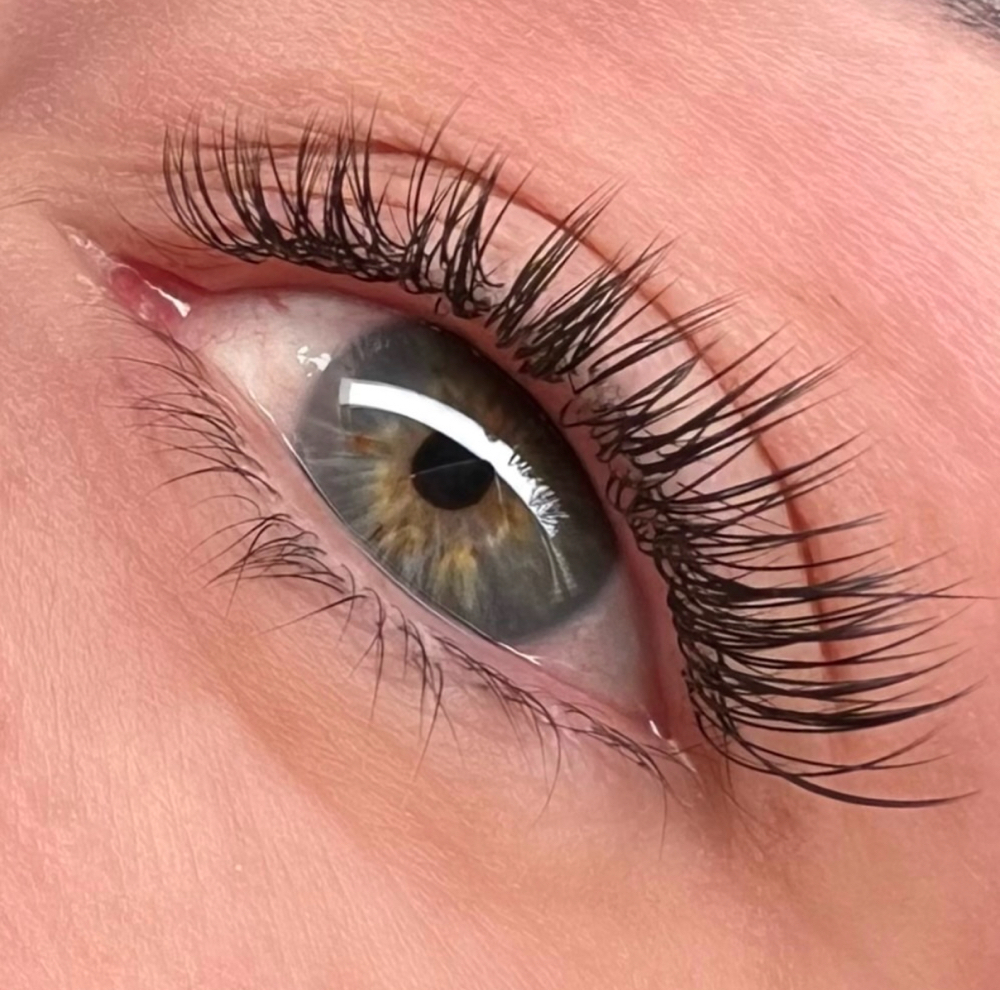 Regular Classic Lashes Refill